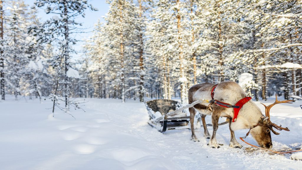 Santa’s Grotto Visit Santa Trips to Lapland 2025 from Ireland