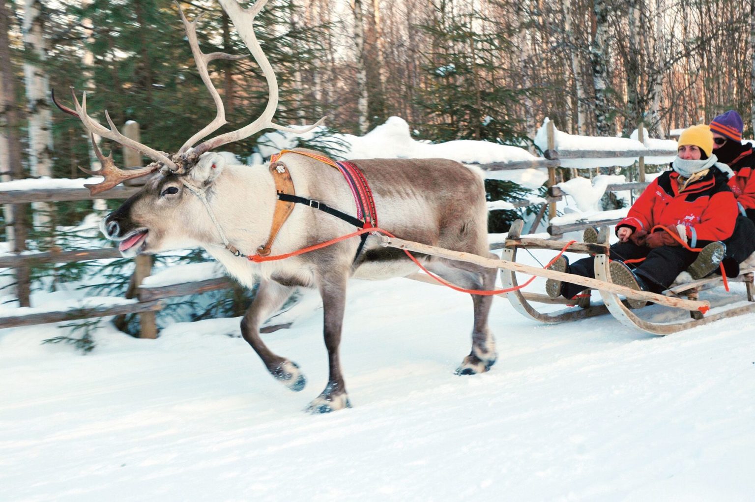 Rovaniemi Visit Santa Trips to Lapland 2025 from Ireland